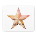 Star  Wall Art